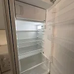 Deer * Nyíregyháza